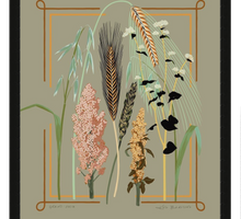 Load image into Gallery viewer, Grains: Vesta