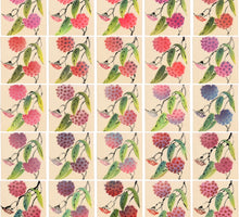 Load image into Gallery viewer, Hoya Limited Edition Monoprint, 2/25