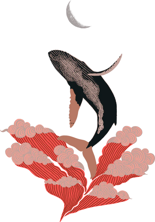 Kate Blairstone Bamboo Sushi Illustration