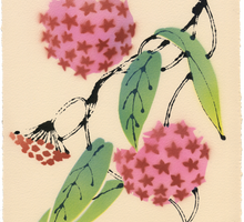 Load image into Gallery viewer, Hoya Limited Edition Monoprint by Kate Blairstone