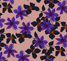 Load image into Gallery viewer, Dramatic purple black and pink floral Clematis giftwrap by Kate Blairstone
