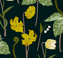 Load image into Gallery viewer, Pacific Northwest native trillium and trout lilies woodland giftwrap by Kate Blairstone
