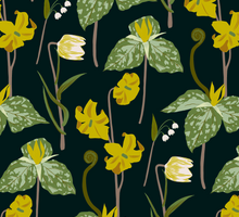 Load image into Gallery viewer, Pacific Northwest native trillium and trout lilies woodland giftwrap by Kate Blairstone
