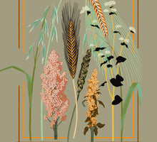 Load image into Gallery viewer, Grains: Vesta
